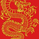 gold Chinese dragon Machine Embroidery Design
