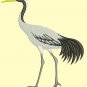 crane Machine Embroidery design, this is not a real product, These are digital files
