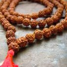 Rudraksha Shaman Mala
