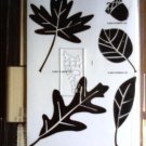 Autumn Fest rubber stamp set