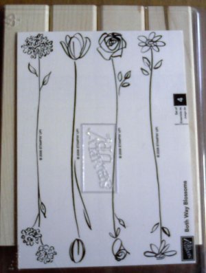 Both Way Blossoms stamp set