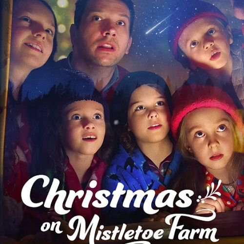 CHRISTMAS ON MISTLETOE FARM DVD 2022 NETFLIX MOVIE film