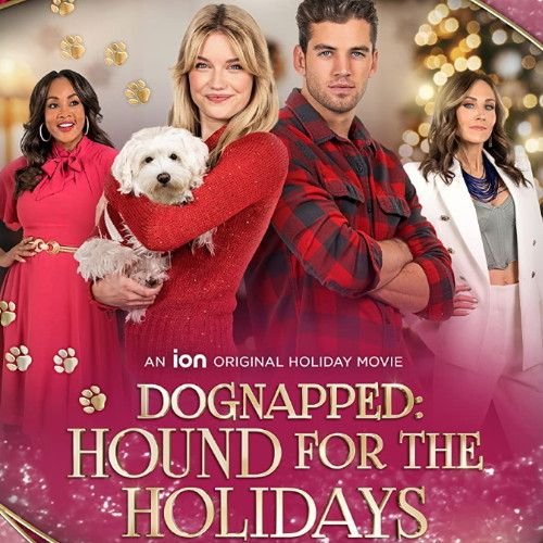 DOGNAPPED HOUND FOR THE HOLIDAYS DVD 2022 ION CHRISTMAS MOVIE film