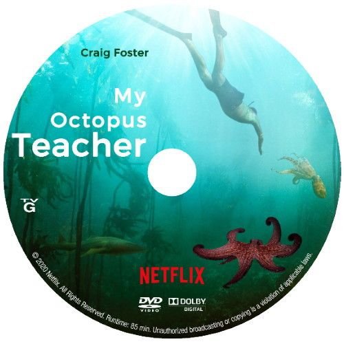 MY OCTOPUS TEACHER DVD 2020 NETFLIX DOCUMENTARY FILM film