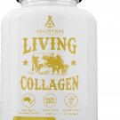 Ancestral Supplements Grass Fed Beef Living Collagen Nutritional Powder Supplement, 3000mg