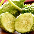 200 Seeds West Indian Gherkin Seeds Burr Spike Cucumber Rare