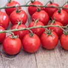 120 Seeds Sweetie Cherry Tomato Seeds Heirloom Organic