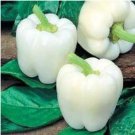 120 Seeds White Bell Pepper Seeds Heirloom Organic Non Gmo Rare