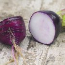 100 Seeds Purple Plum Radish Seeds Heirloom Non Gmo Organic