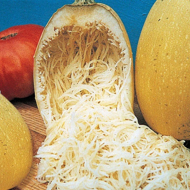 25 Seeds Spaghetti Squash Seeds Winter Heirloom Organic Non Gmo Fresh