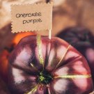10 Seeds Cherokee Purple Tomato Seeds Heirloom Nongmo Organic Fresh