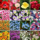 500 Seeds Wildflower Mix Shorty Low Grow Heirloom Fresh Annual And Perennial