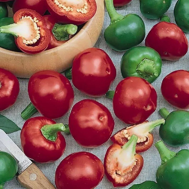 10 Seeds Red Cherry Hot Pepper Seeds Pimenta Nongmo Heirloom Organic