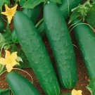 100 Seeds Double Yield Cucumber Seeds Heirloom Organic Non Gmo Fresh
