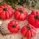 30 Seeds Mushroom Basket Tomato Seeds Heirloom Organic Non Gmo Rare