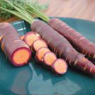 200 Seeds Purple Dragon Carrot Seeds Heirloom Organic Non Gmo Rare