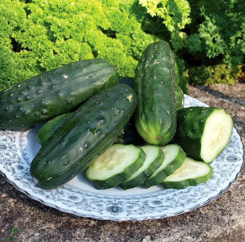 200 Seeds Double Yield Cucumber Seeds Heirloom Organic Non Gmo Fresh