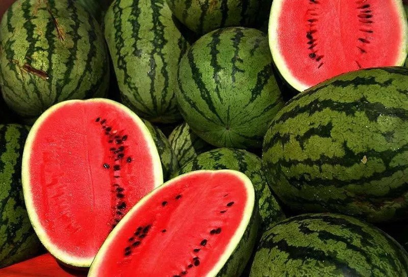 100 Seeds Kleckley'S Sweet Watermelon Seeds Large & Super Sweet Heirloom Fresh