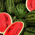 100 Seeds Kleckley'S Sweet Watermelon Seeds Large & Super Sweet Heirloom Fresh