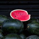 30 Seeds Giant Black Diamond Watermelon Seeds Heirloom Organic / 3050Lbs