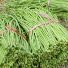 120 Dark Green Yard Long Bean Seeds Heirloom Organic Heirloom Fresh For Garden