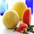 12 Golden Midget Watermelon Seeds Min Heirloom Non Gmo Organic Fresh For Garden