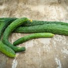 25 Seeds Suyo Long Cucumber Seeds Heirloom Non Gmo Organic Genuine Fresh For Garden 25 Seeds Suyo Long Cucumber Seeds Heirloom Non Gmo Organic Genuine Fresh For Garden