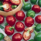 120 Seeds Red Cherry Hot Pepper Seeds Pimenta Nongmo Heirloom Organic Fresh For Garden 120 Seeds Red Cherry Hot Pepper Seeds Pimenta Nongmo Heirloom Organic Fresh For Garden