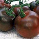 120 Seeds Black Prince Tomato Seeds Heirloom Organic Non Gmo Fresh For Garden 120 Seeds Black Prince Tomato Seeds Heirloom Organic Non Gmo Fresh For Garden