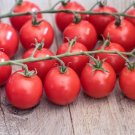 30 Seeds Sweetie Cherry Tomato Seeds Non Gmo Heirloom Organic Fresh For Garden 30 Seeds Sweetie Cherry Tomato Seeds Non Gmo Heirloom Organic Fresh For Garden