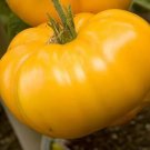 30 Seeds Yellow Brandywine Tomato Seeds Heirloom Organic Non Gmo Fresh For Garden 30 Seeds Yellow Brandywine Tomato Seeds Heirloom Organic Non Gmo Fresh For Garden