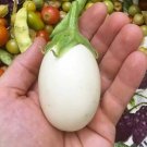 100 Seeds White Egg Eggplant Seeds Heirloom Organic Non Gmo Fresh For Garden