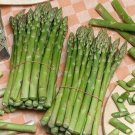 100 Seeds Asparag Seeds Uc 157 F2 Heirloom Organic Non Gmo Fresh For Garden 100 Seeds Asparag Seeds Uc 157 F2 Heirloom Organic Non Gmo Fresh For Garden