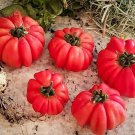 10 Seeds Mhroom Basket Tomato Seeds Heirloom Organic Non Gmo Fresh For Garden