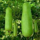 15 Seedsbottle Gourd Upo Calabash Heirloom Seeds Fresh For Garden 15 Seedsbottle Gourd Upo Calabash Heirloom Seeds Fresh For Garden