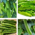 20 Seeds Seeds Winged Bean Seeds Dragon Bean Đậu Rồng Sigarilyas Fresh For Garden