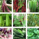 10 Packets Asian Vegetable Seeds For Planting A Non Gmo Heirloom Fresh For Garden