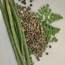 100 Seeds Moringamalungay Seeds For Planting Nongmo Fast Growing Tree Seeds Fresh For Garden