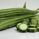 15 Seeds Seeds Ridge Gourd Sponge Gourd Chinese Okra Angled Luffa Gourd Patola Fresh For Garden