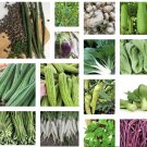 20 Variety Asian Vegetable Seeds Great Starter Bundle Non Gmo Heirloom Fresh For Garden 20 Variety Asian Vegetable Seeds Great Starter Bundle Non Gmo Heirloom Fresh For Garden