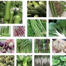 20 Seeds Variety Asian Vegetable Seeds Heirloom Non Gmo Fresh For Garden 20 Seeds Variety Asian Vegetable Seeds Heirloom Non Gmo Fresh For Garden