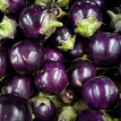 50 Seeds Seedround Purple Eggplant Tha Indian Heirloom Fresh For Garden
