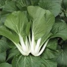 ‼️ ‼️1000 Seeds Seeds White Stem Pak Cho Pechay Nongmo Fresh For Garden ‼️ ‼️1000 Seeds Seeds White Stem Pak Cho Pechay Nongmo Fresh For Garden