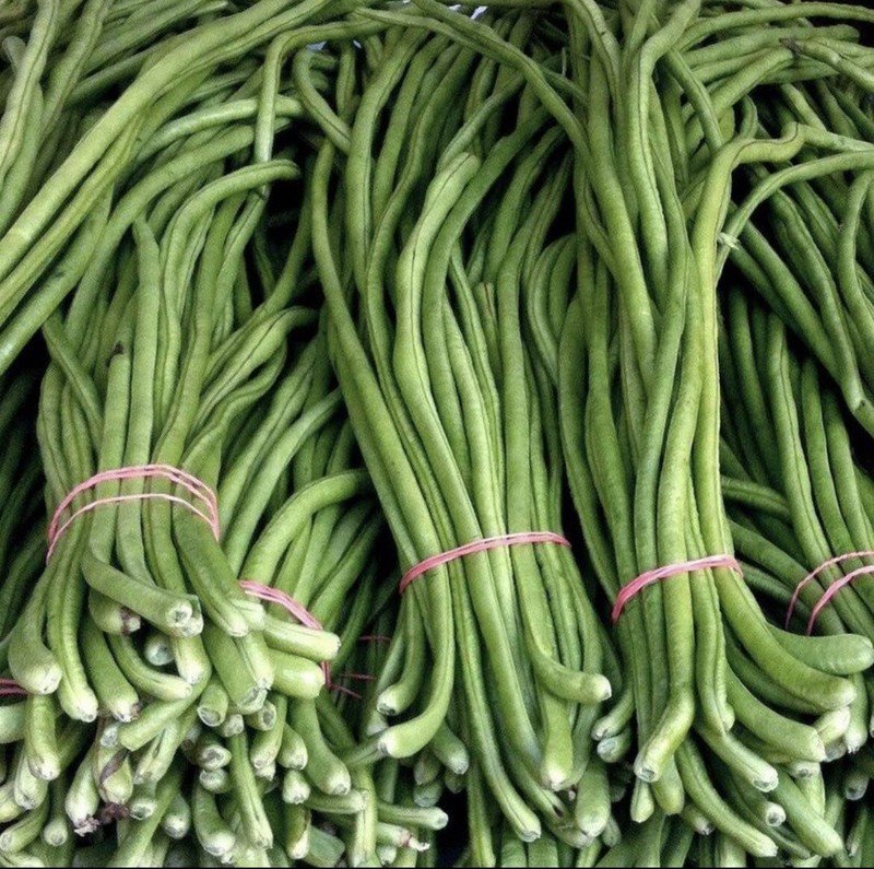 10 Seeds Seeds Green Yard Long Bean Asian String Beans Sitaw Nongmo Fresh For Garden