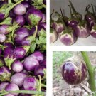50 Seeds Seeds Tharound Purple Eggplantnon Gmo Fresh For Garden