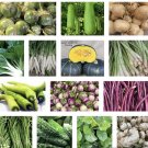 Non Gmo 20 Packets Varietyasian Vegetable Seeds For Plantingsee Description Fresh For Garden Non Gmo 20 Packets Varietyasian Vegetable Seeds For Plantingsee Description Fresh For Garden