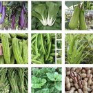 15 Packets Of Asian Vegetable Seeds For Planting Non Gmo Grow Your Own Food Fresh For Garden
