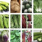 20 Variety Of Asian Vegetable Seeds For Planting Non Gmo Fresh For Garden 20 Variety Of Asian Vegetable Seeds For Planting Non Gmo Fresh For Garden