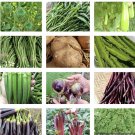 20 Packets Asian Vegetable Seeds For Plantingnon Gmo Fresh For Garden 20 Packets Asian Vegetable Seeds For Plantingnon Gmo Fresh For Garden
