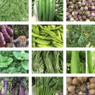 20 Packets Asian Vegetable Seeds For Planting Grow Your Own Food Non Gmo Fresh For Garden